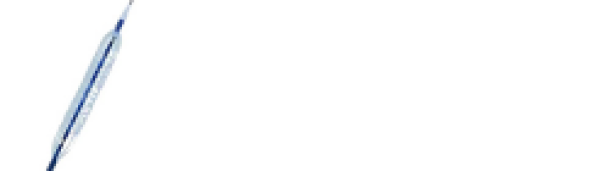 VesTraveler Semi-Compliant PTCA Balloon Catheter